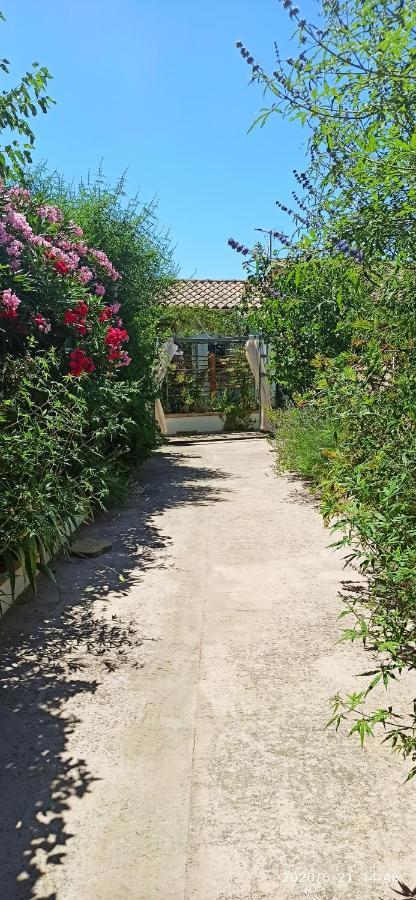 Secret Garden - Chez Gilles Et Tra - Maison D Hote -T2 Super Mignon, Neuf Et Independant , Dans Cadre Agreable Et Zen Valergues Bagian luar foto
